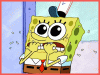 IMG_8955.GIF