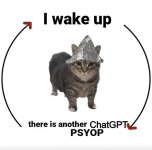 the-original-i-wake-up-there-is-another-psyop-cat-photo-v0-7shc3do1j3bf1.jpg