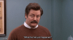 AlarmedInbornHippopotamus-small.gif