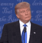 Trump wrong.gif