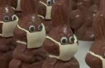 Choc.jpg