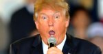 trumpy.jpg