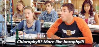 Chlorophyll borophyll billy madison.gif
