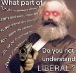 when_libs_say_guns_b.jpg