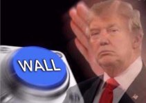 Trump wall button.jpg