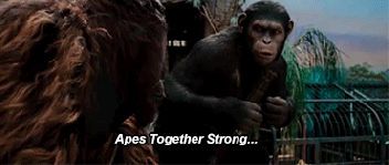 apes-together-strong.gif