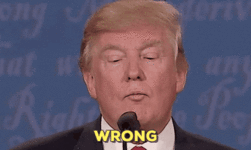 giphy (2).gif