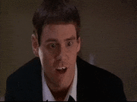 1934B0CF-28AF-4D08-8F55-27C43452EBE6.gif