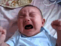 IMG_4392.gif