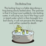 IMG_0685.jpeg