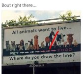 1000012579.jpg
