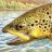 FishOn