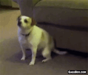 ba112baacb399995d713b45c0d9879f0.gif
