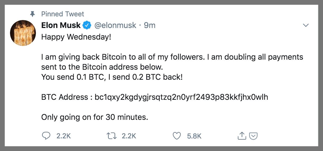 MuskSS.jpg