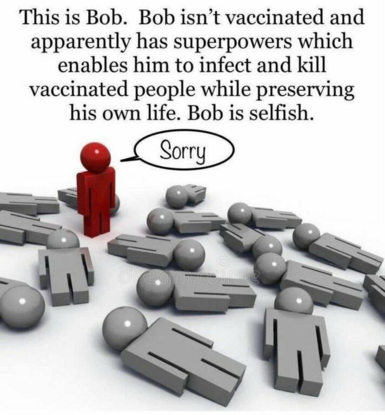 0b0a62cb08278a2f.png
